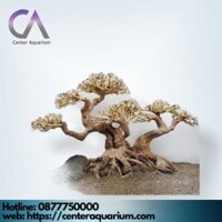 Lũa Bonsai Mini Trang Trí Bể Cá - Bể Thủy Sinh