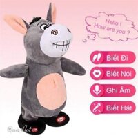 Lừa con biết hát