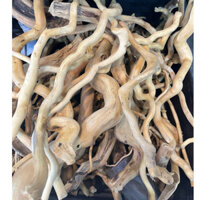 Lũa đỗ quyên loại ngắn trang trí bể cá, đồ chơi leo chèo cho ốc mượn hồn