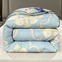 Lụa Quilt Mulberry Lụa Mùa Xuân Thu Chăn Mùa Đông Chăn Cotton Chăn Dày Điều Hòa Không Khí Quilt Cotton Lõi Mùa Hè Thoáng Mát Quilt