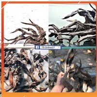 Lũa Sầm - Trang trí bể cá, ghép lan 1Kg