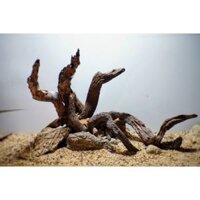 Lũa san đá cành trang trí bể cá