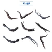 Lũa thủy sinh mini cho bể cá thủy sinh mini