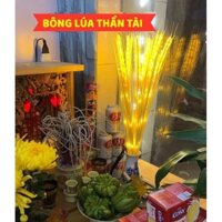 Lúa vàng thần tài- lúa tài lộc may mắn