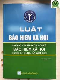 Luật Bảo Hiểm Xã Hội Và Các Chế Độ, Chính Sách Mới Về Bảo Hiểm Xã Hội Được Áp Dụng Từ Năm 2021