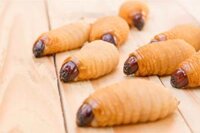 Luật nuôi đuông dừa của nước ta