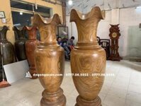 Lục Bình Gỗ Cẩm Vàng Nam Phi cao 1m5