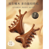 lược massage da đầu đa chức năng cho tóc rụng, trị liệu đầu, cạo, làm sạch kinh tuyến, lược gỗ đàn hương cho mặt và mắt