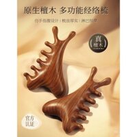 Lược massage da đầu đa chức năng 4 trong 1 bằng gỗ đàn hương cho tóc rụng, trị liệu đầu, gua sha mặt và công cụ làm sạch kinh tuyến