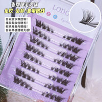 Luoduo Lông Mi Giả Lười Không Keo Mô Phỏng Tự Nhiên Fox Series 205-Segment Có Thể Tái Sử Dụng Dày Truyện Tranh Lông Mi 3.31