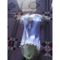 lưới bắt cá 2p cao 70cm