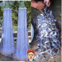 Lưới bắt cá 3 màn cao 120cm ,dài 100 mét.Lưới Thái Lan siêu dính cá