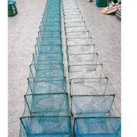 Lưới bát quái bắt tôm cá,lưới lồng bắt tôm cua ,cá giá rẻ 29 khung dài 8m(thân 1.3 sợi 3 trắng và xanh,đuôi 1cm) abojhc9