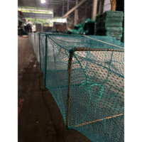 Lưới bát quái, cửa ngục [GIÁ XƯỞNG] bắt tôm cua cá, cao 30cm x rộng 40cm  x dài 8m2