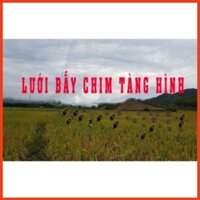 lưới bẫy chim 7cm cao 7m dài 70m bắt các loại chim cu gáy + cò + vạc các loại chim to vịt trời v.v hàng thái lan ( giá s