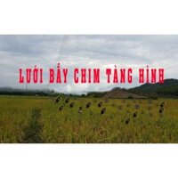 Lưới bẫy chim cu gáy, gà rừng 5p, 6p,7p dài 50m cao 6m