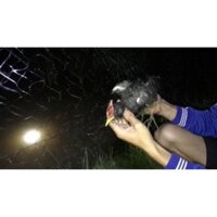 Lưới bẫy chim đêm cúm núm gà nước, quốc, bịp TH ,dài 60m mắt lỗ 7p sợi 20 cao 8m4 5 dây 4 túi lưới đen tàng hình