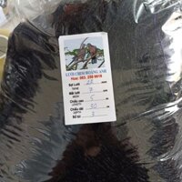 Lưới bẫy Gà đồng, quốc, trích dài 30M - 50m Cao5M