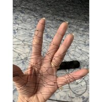 Lưới bẫy tàng hình