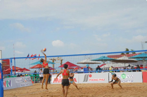 Lưới bóng chuyền bãi biển Vifa sport 443110