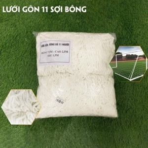 Lưới bóng đá (11 người - Hình thang)