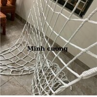 Lưới chắn container, lưới bảo vệ hàng hóa chắn trước cửa thùng 2,4 x2,6m. dây 10mm