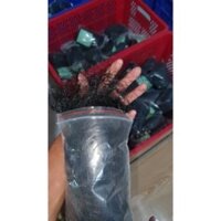 LƯỚI CHIM ĐÊM => CƯỚC THÁI - ĐÁNH TỔNG HỢP CHIM BAN ĐÊM ( MẮT LỖ 8 Phân sợi 20 - 22 => CAO 8m4 5 dây 4 túi )