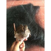 Lưới chim tàng hình Thái Lan 50 MÉT