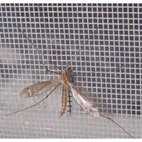 Lưới chống muỗi lưới sợi thủy tinh độ bền cao, chống côn trùng chống bụi, lưới chắn muỗi cho nhà ở - 3 mét