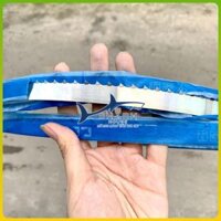 Lưỡi cưa xương MARSSAW (1650mm) - Chuyên cưa xương bò, thịt cá đông lạnh các loại