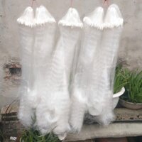 Lưới đánh cá 3 màn then 4 cao 80cm dài 70m bắt cá trắm chép và cá từ 600g đến 3kg