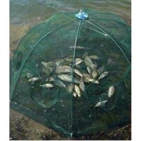 Lưới Đánh Cá Bẫy Lồng Bát Quái