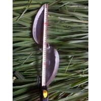 Lưỡi dao gắn máy thái chuối mịn , băm cỏ voi , xắt chuối nguyên cây