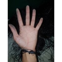 Lưới Đấu Mắt lỗ 5 phân - CƯỚC THÁI TÀN HÌNH (Cao 9m 7dây 6 túi-cao 14m 9dây 8 túi)đánh chào mào, trảo,cu gáy ,..vv