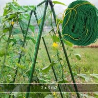 Lưới làm giàn dây leo - Lưới trồng dây leo | Vạn Tín Store