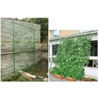 Lưới làm giàn khổ 1.8met x 5met ô lưới 10x10cm kết hợp ống thép bọc nhựa làm giàn leo