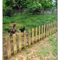 Lưới Nhựa Nguyên Sinh 2m x 10m, mắt lưới 3,3x3,7cm làm rào vườn, trang trại, làm chuồng gà, vịt, sàn chăn nuôi