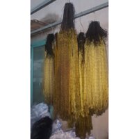 Lưới Rắn mắt lỗ 4 phân màu đen, màu cỏ khô , Lưới 4 phân ( 1 tay dài 10m cao 50cm - đánh rắn từ 3-4 lạng đến 2kg )