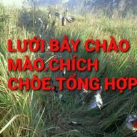 lưới tàng hình 30m 4p cao 6m 5 dây 4 túi tổng hợp