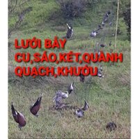 lưới tàng hình 30m 6p cao 9m 7 dây 6 tuid