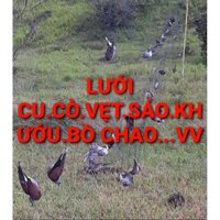 lưới tàng hình 30m 6p cao 9m 7 dây 6 túi sáo.cu cò két