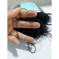 LƯỚI TÀNG HÌNH 4 PHÂN Bẫy Chim Chào mào, Chim sẻ, Họa mi, Chao Chảo