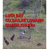 lưới tàng hình 60m 8p cao 6m 5 dây 4 túi