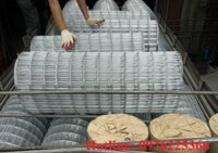 Lưới thép hàn mạ kẽm D2, D3, D4 tại Hà Nội giá rẻ