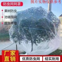 Lưới trái cây chống côn trùng Cây trái cây mới Chống chim Vỏ lưới chống côn trùng Bayberry Blueberry Greenhouse Lotus Fog Peach Tree Cherry Roman Lưới chống côn trùng Lưới chống muỗi