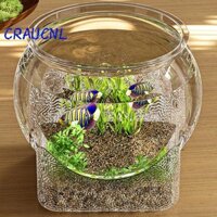 Luol Bể Cá, Bể Cá Để Bàn Chống Rơi, Tròn Bền Tăng Cường Trải Nghiệm Xem Trang Trí Cá