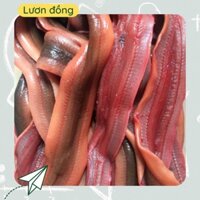 Lươn đồng (200gr)