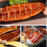 LƯƠN NƯƠNG NHẬT BẢN UNAGI KABAYAKI size 200gram/ con date xa 2025(chỉ giao hoả tốc HN)