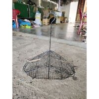 lụp bẫy chào mào, choè than