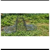 Lụp Đa Năng Chuyên Bẫy Quốc, Bìm Bịp, Đa Đa, Gà Đồng